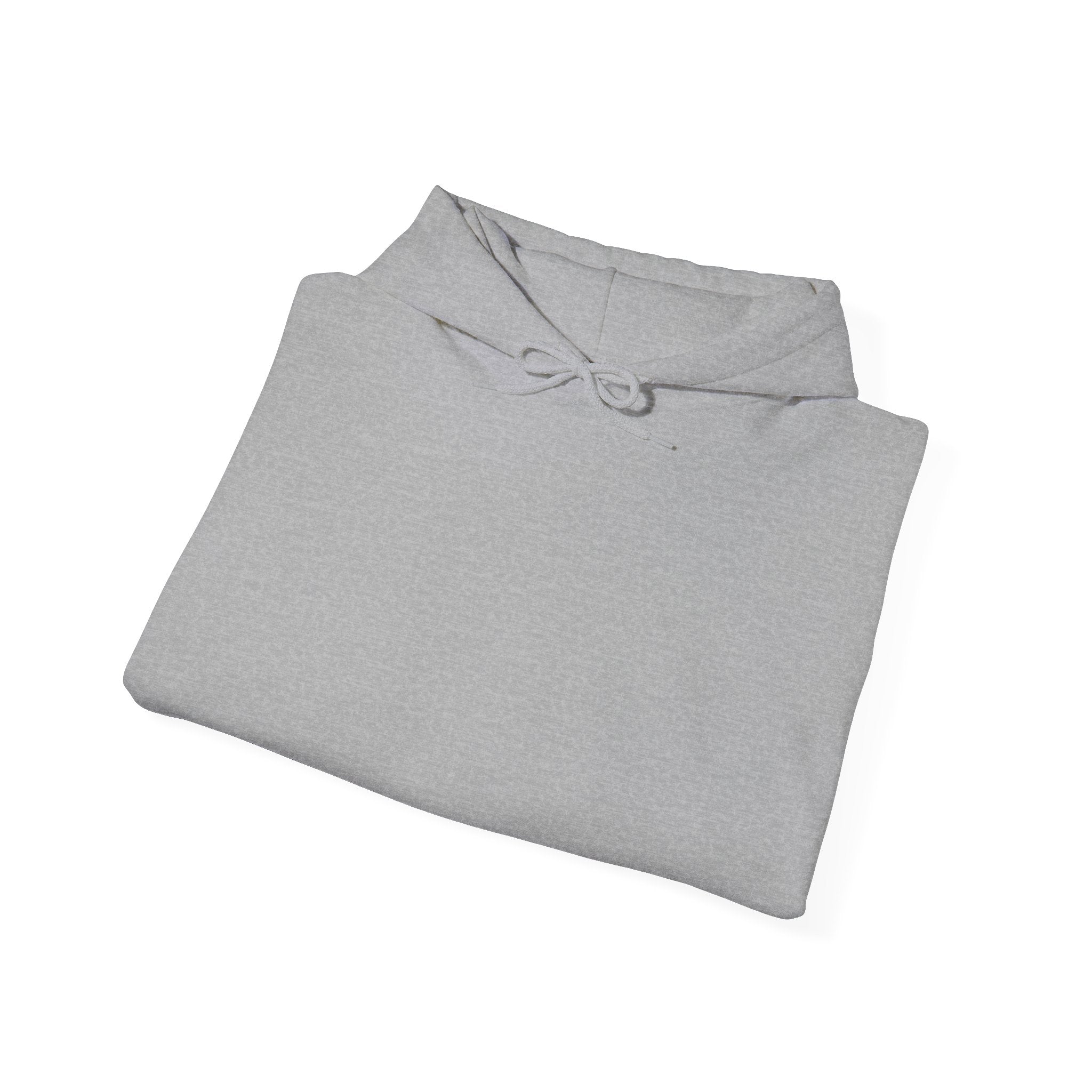 Minimalist Heavyweight Streetwear Hoodie | Basics Apparel