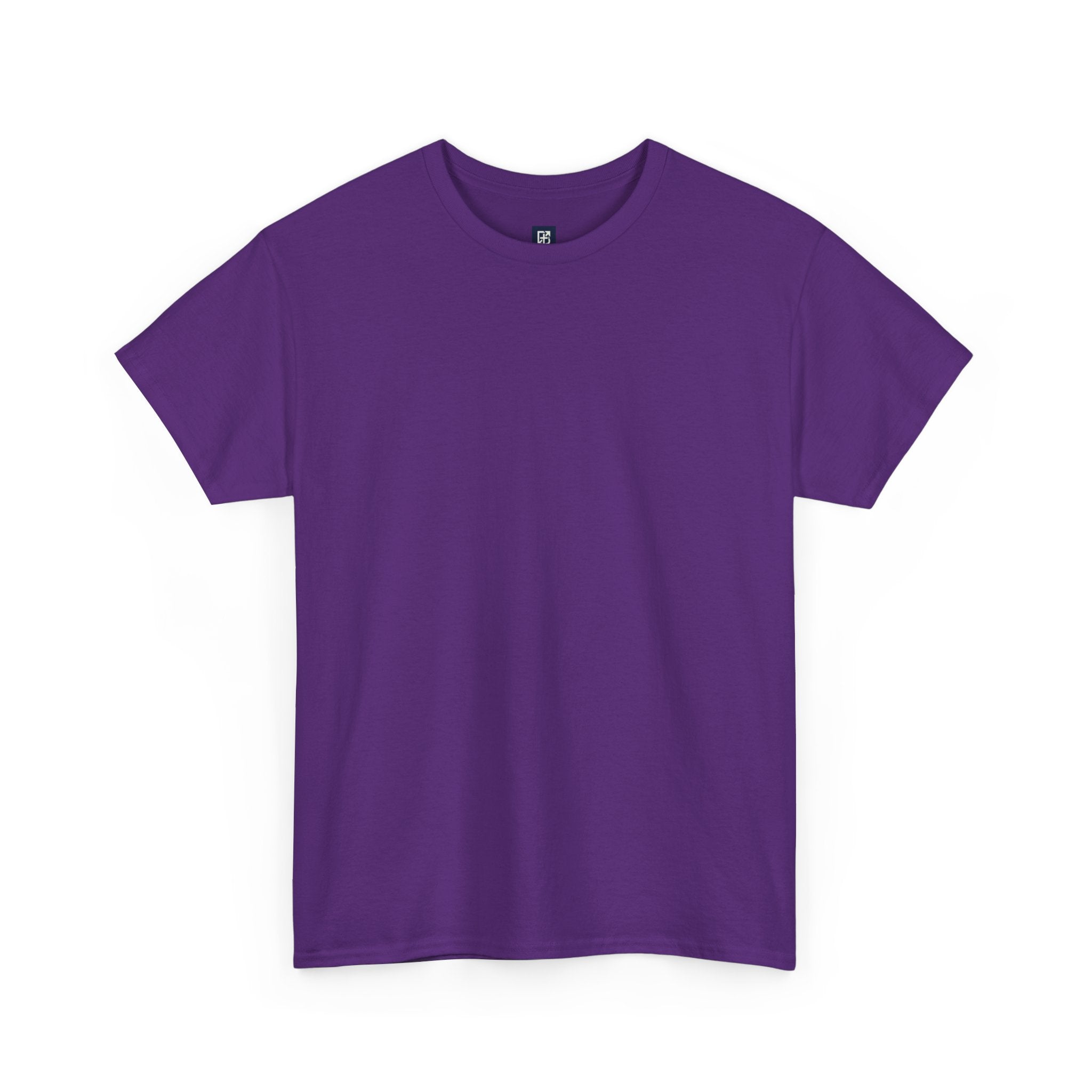 Matthew 11:28 Christian Graphic Tee | Premium Streetwear Shirt