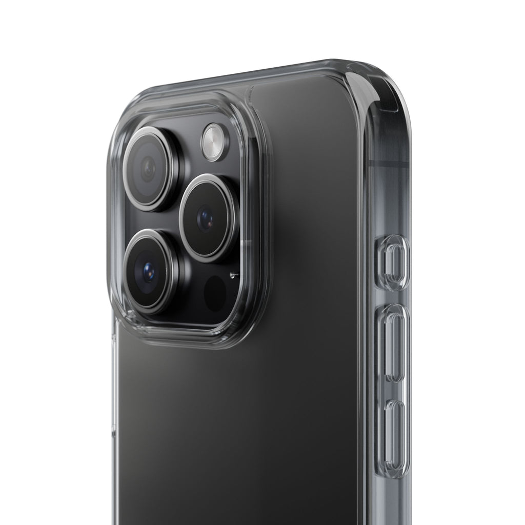 Basics Clear Impact-Resistant Cases