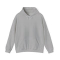 Basics Unisex Heavy Blend™ Hooded Sweatshirt