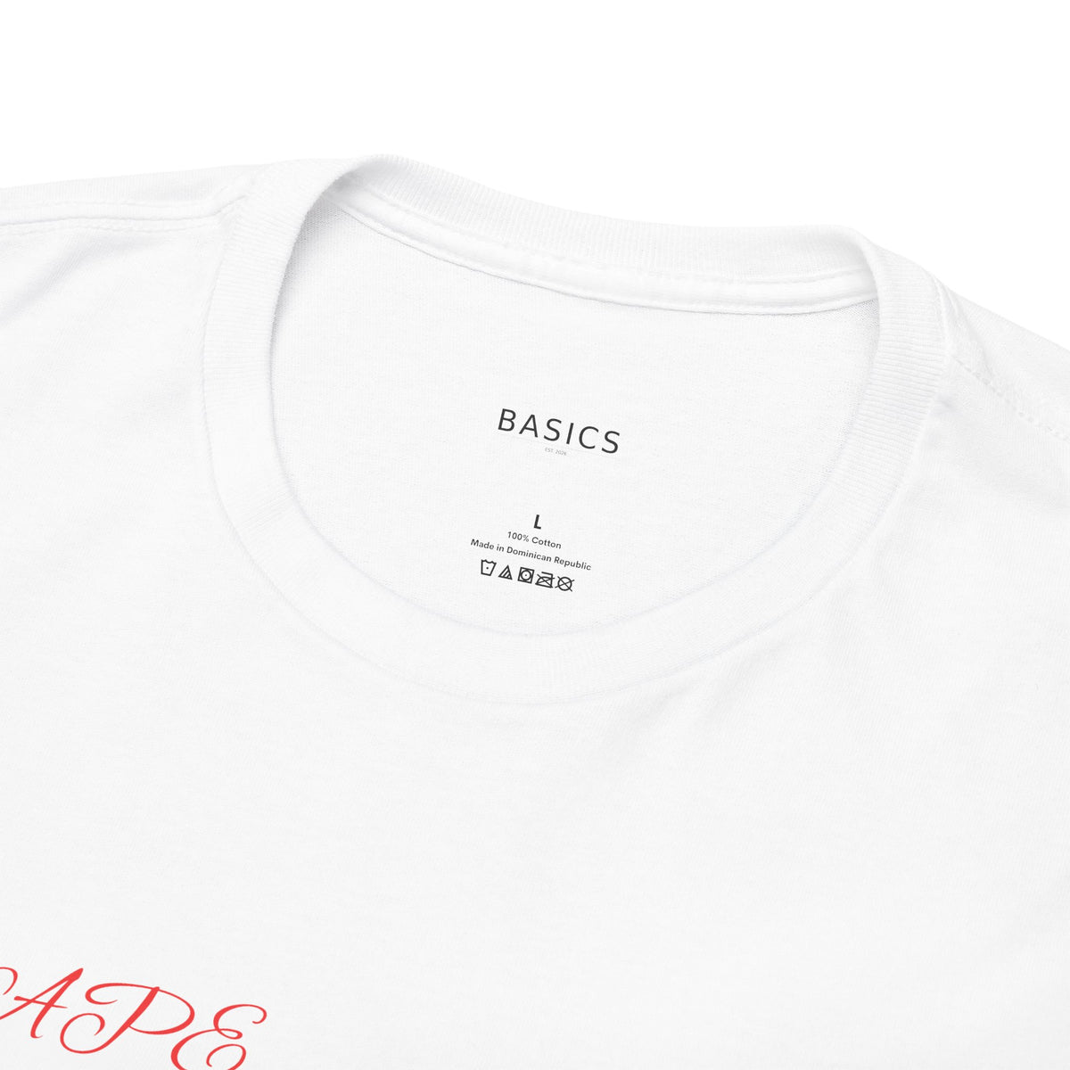 Heavyweight Angel Graphic T-Shirt | Basics Apparel