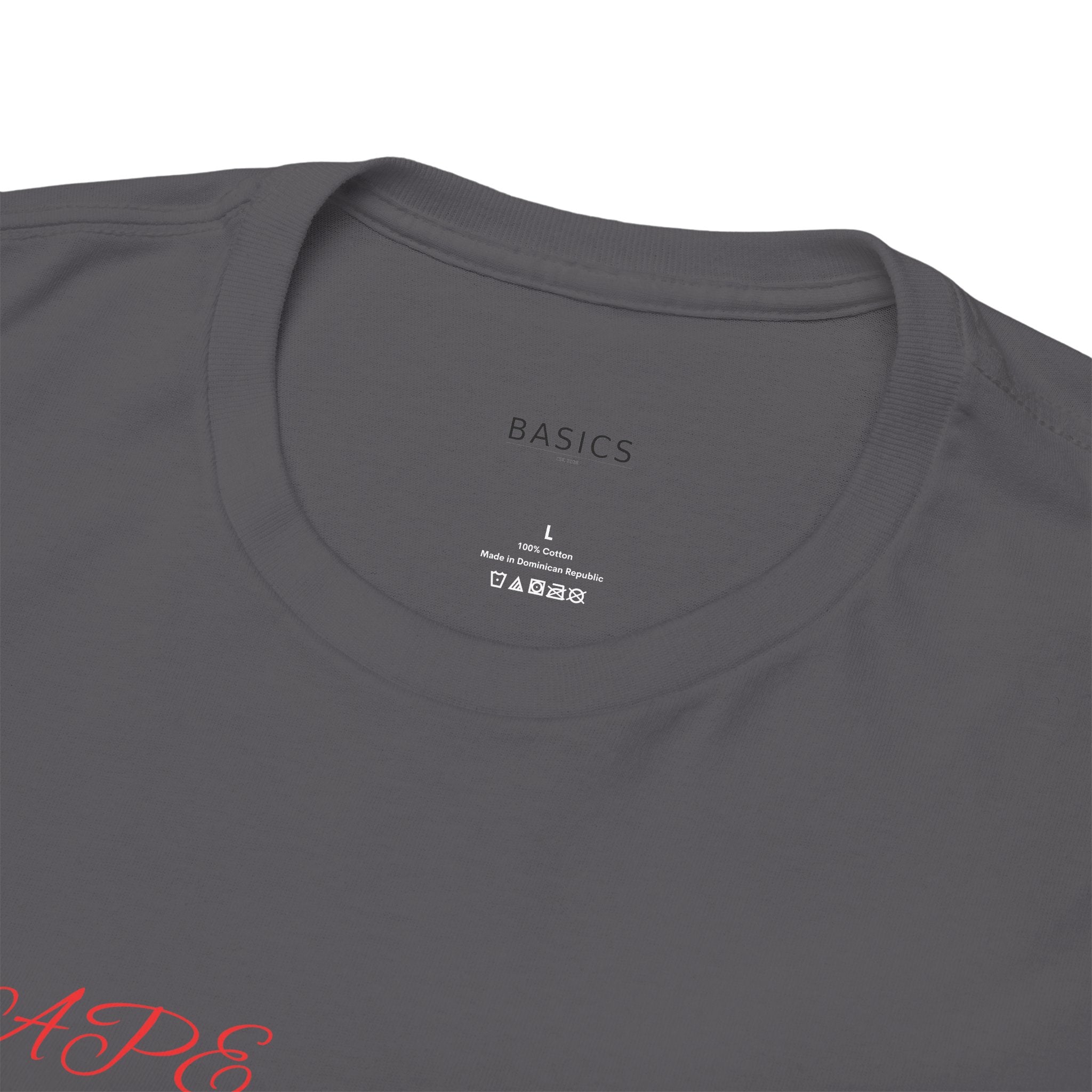 Heavyweight Angel Graphic T-Shirt | Basics Apparel