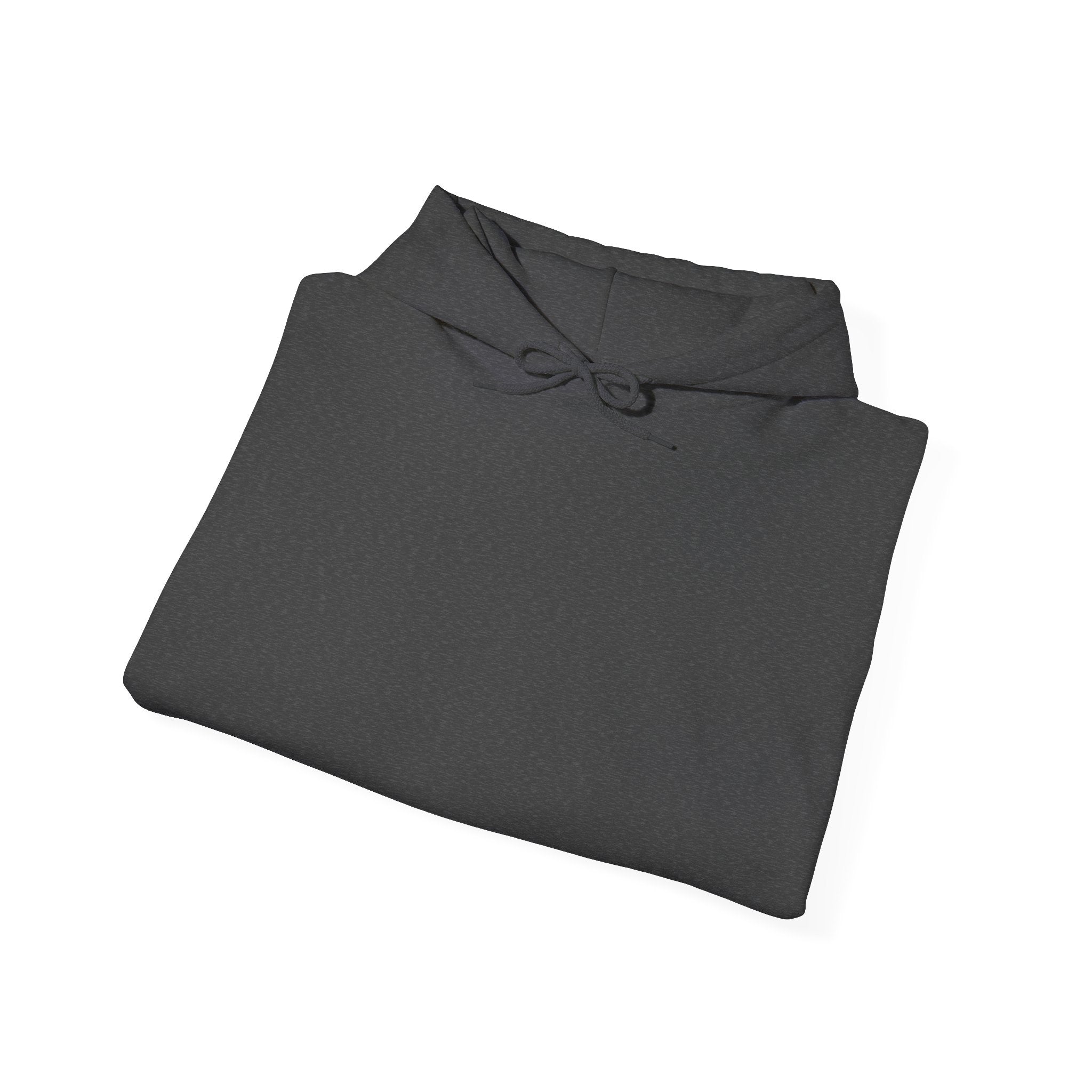 Minimalist Heavyweight Streetwear Hoodie | Basics Apparel